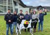 En el Día Mundial de la Leche, INIA muestra su aporte a la producción de leche sostenible