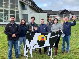 En el Día Mundial de la Leche, INIA muestra su aporte a la producción de leche sostenible