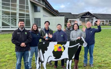En el Día Mundial de la Leche, INIA muestra su aporte a la producción de leche sostenible