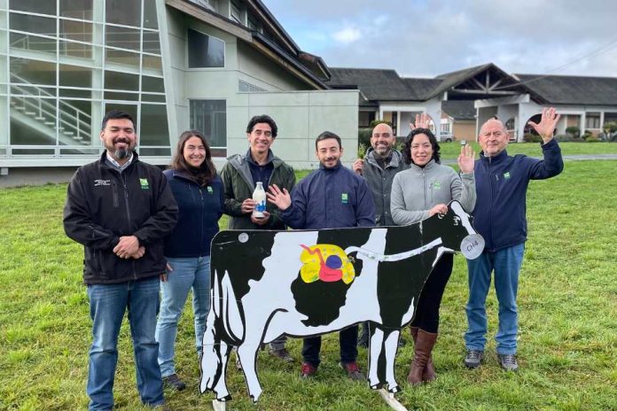 En el Día Mundial de la Leche, INIA muestra su aporte a la producción de leche sostenible