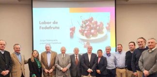 Fedefruta conforma su primer Consejo Pastpresident, con fruticultores que han encabezado el gremio en sus cerca de 40 años de existencia