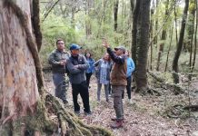 Guardaparques y comunidad trabajarán para combatir cambio climático en parques nacionales y otras áreas protegidas