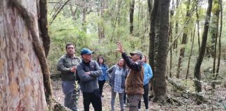 Guardaparques y comunidad trabajarán para combatir cambio climático en parques nacionales y otras áreas protegidas