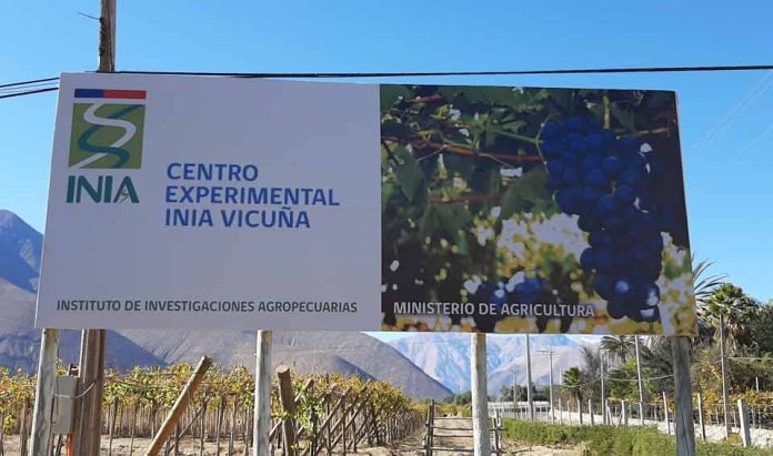 INIA Vicuña