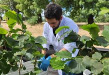 INIA lanza el Centro Nacional de Bioinsumos para disminuir el uso de agroquímicos en el país