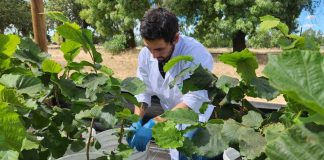 INIA lanza el Centro Nacional de Bioinsumos para disminuir el uso de agroquímicos en el país
