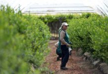 IV Versión Concurso Campo del Año 2023 Anasac premia lo mejor del campo chileno