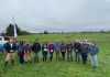 Innova Talentos, asistió al Día de Campo Organizado por el Consorcio Lechero, en Rio Negro. Manejo del pastoreo para vacas lecheras