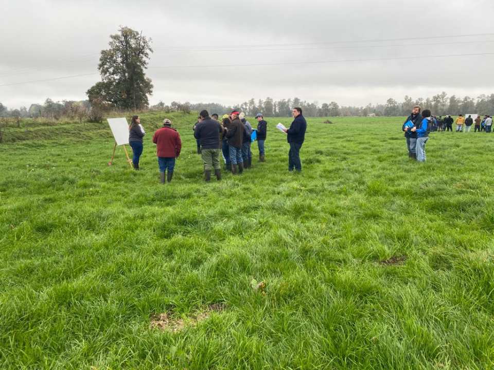 Innova Talentos, asistió al Día de Campo Organizado por el Consorcio Lechero, en Rio Negro