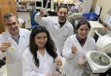 Laboratorio de Nutrición Animal de INIA Remehue obtiene destacados resultados a nivel latinoamericano