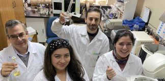 Laboratorio de Nutrición Animal de INIA Remehue obtiene destacados resultados a nivel latinoamericano