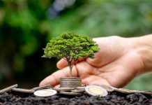 Lanzan plataforma tecnológica para enseñar sobre el uso consciente del dinero en la Región de Ñuble