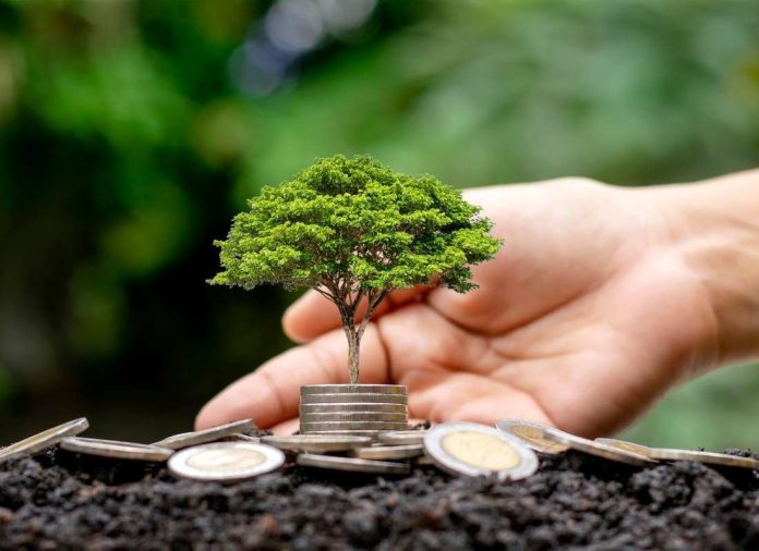 Lanzan plataforma tecnológica para enseñar sobre el uso consciente del dinero en la Región de Ñuble