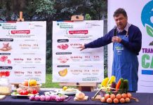 Ministerio de Agricultura resalta bajas de precio de alimentos que componen una cazuela y disminución del valor de la harina 