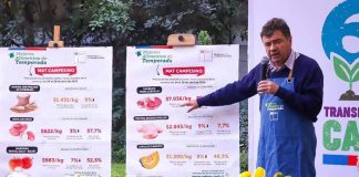 Ministerio de Agricultura resalta bajas de precio de alimentos que componen una cazuela y disminución del valor de la harina 