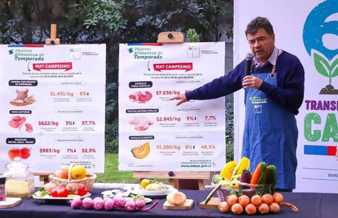 Ministerio de Agricultura resalta bajas de precio de alimentos que componen una cazuela y disminución del valor de la harina 