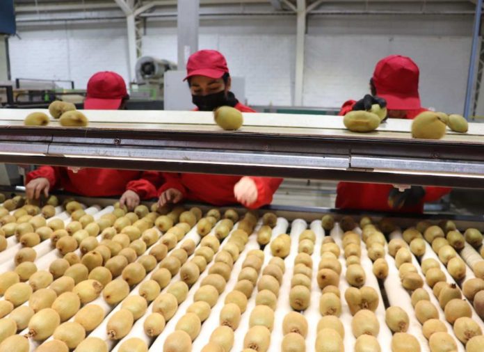Ministro de Agricultura destaca labor del sector exportador de frutas frescas durante visita en la región de Valparaíso
