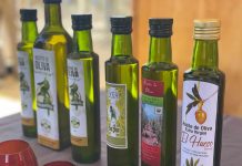 Pequeños Olivicultores del desierto Costero de Antofagasta inician la temporada de producción de aceite de oliva 2023, pioneros del hemisferio sur