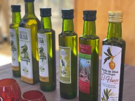 Pequeños Olivicultores del desierto Costero de Antofagasta inician la temporada de producción de aceite de oliva 2023, pioneros del hemisferio sur