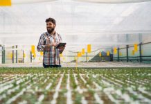 Las Innovaciones de Visa basadas en blockchain pueden Llevar a las pequeñas empresas al siguiente nivel