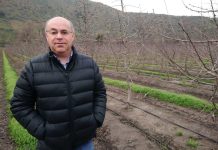 Presidente de Fedefruta por elección de consejeros: "Tenemos la confianza de que no se siga fantaseando con el mundo rural" en una nueva constitución