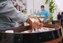 Promocionarán los piscos de la Región de Coquimbo en los mercados internacionales (1)