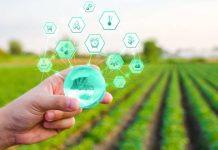Proyecto 5G de Huawei reduce tiempo de observación de tierras agrícolas de una semana a 1 hora