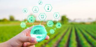 Proyecto 5G de Huawei reduce tiempo de observación de tierras agrícolas de una semana a 1 hora