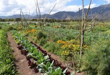 Región de Valparaíso será pionera en implementación de modelo sostenible de agricultura
