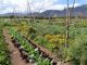 Región de Valparaíso será pionera en implementación de modelo sostenible de agricultura
