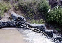 Restauración hidrológica forestal herramienta para la adaptación y mitigación del cambio climático