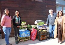 Terminal Hortofrutícola suma nuevo aporte y dona más de 100 kilos de alimentos a residencias de Mejor Niñez