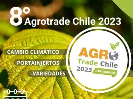 Últimas tendencias varietales y el análisis y futuro del sector frutícola serán temas claves de la Agrotrade Chile 2023
