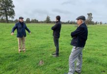 Viña Santa Rita firma alianza con la Universidad de Chile para estudiar la producción de vinos en la Región de Los Lagos