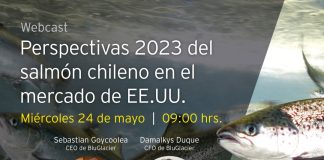 Expertos analizarán el panorama de la acuicultura chilena en EE.UU.