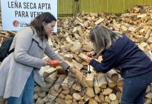 consumo responsable de leña
