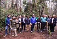 incendios forestales