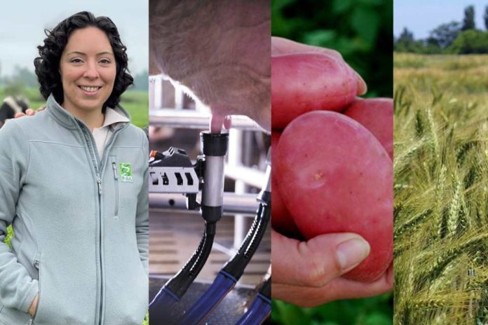 ¿Cómo aportamos a la transición hacia una producción de alimentos más sostenible?