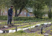 2.572 kilos de alimentos cosechados en un año en suelo patagónico: Las Torres Patagonia celebra récord de su huerta orgánica y sustentable