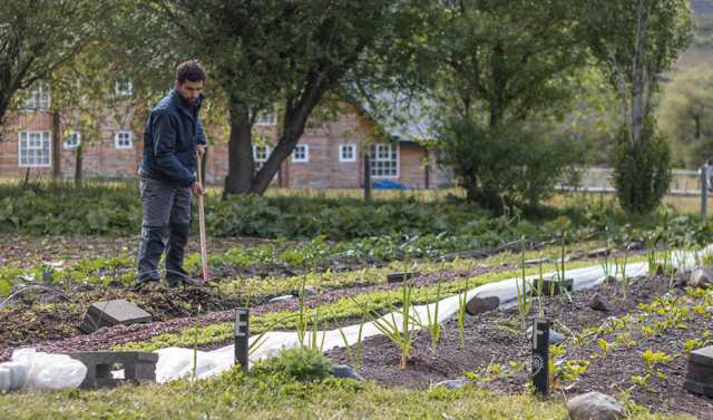 2.572 kilos de alimentos cosechados en un año en suelo patagónico: Las Torres Patagonia celebra récord de su huerta orgánica y sustentable