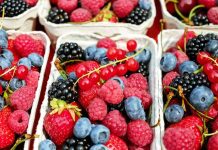 Agronomía UdeC organiza primer Congreso Latinoamericano de Berries