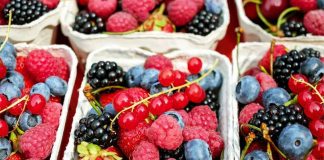 Agronomía UdeC organiza primer Congreso Latinoamericano de Berries