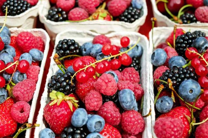 Agronomía UdeC organiza primer Congreso Latinoamericano de Berries