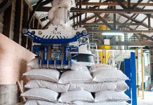Atlas Robots llega a Chile para automatizar la planta de Semillas SEk
