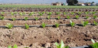 CNR invita a regantes del Norte Chico a postular a nuevo concurso dirigido a la pequeña agricultura y comunidades agrícolas