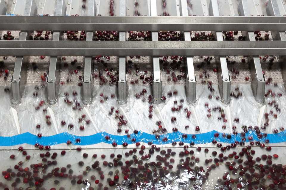 CÓMO LAS SOLUCIONES DE TOMRA FOOD AYUDAN A MEJORAR LA EFICIENCIA Y RENTABILIDAD DE LAS PLANTAS DE PROCESO DE CEREZAS