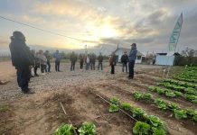 Cores de Atacama conocen de cerca trabajo de INIA en agricultura sostenible y ganadería caprina en gira a la Región de Coquimbo