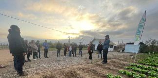 Cores de Atacama conocen de cerca trabajo de INIA en agricultura sostenible y ganadería caprina en gira a la Región de Coquimbo