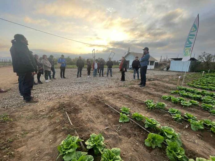 Cores de Atacama conocen de cerca trabajo de INIA en agricultura sostenible y ganadería caprina en gira a la Región de Coquimbo