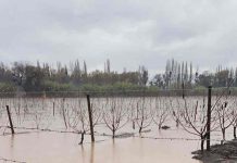 Daños por desborde de ríos y lluvias en predios: "No tenemos infraestructura hídrica para evitar el colapso que estamos enfrentando"